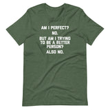 Am I Perfect? No (But Am I Trying To Be A Better Person? Again No) T-Shirt (Unisex)