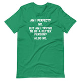 Am I Perfect? No (But Am I Trying To Be A Better Person? Again No) T-Shirt (Unisex)