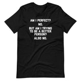 Am I Perfect? No (But Am I Trying To Be A Better Person? Again No) T-Shirt (Unisex)