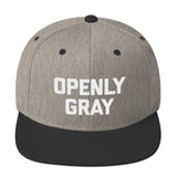 Openly Gray Snapback Hat