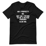 Am I Perfect? No (But Am I Trying To Be A Better Person? Again No) T-Shirt (Unisex)