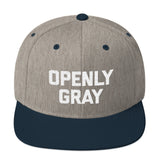 Openly Gray Snapback Hat