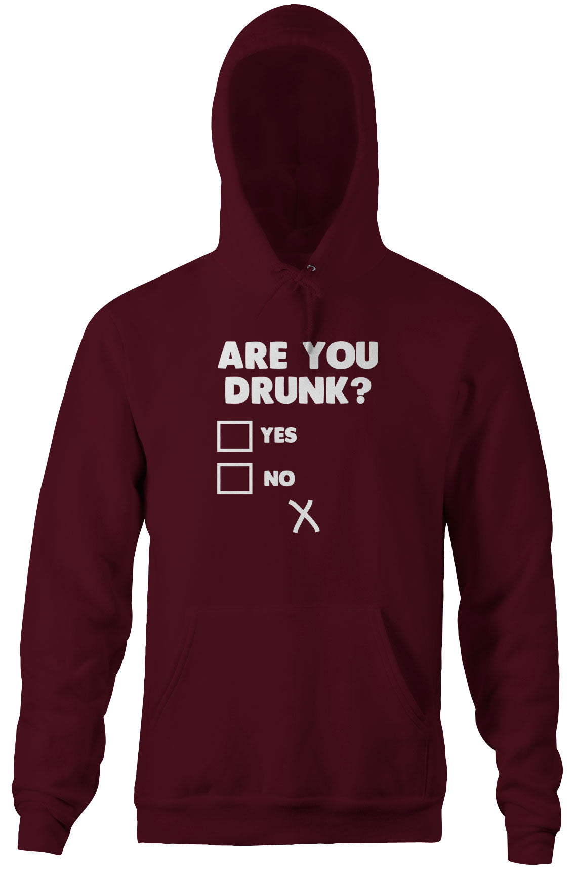 Are You Drunk? Hoodie