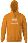 This Is A Band Shirt (You're Not Cool Enough) Hoodie