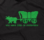 You Have Died Of Dysentery Hoodie