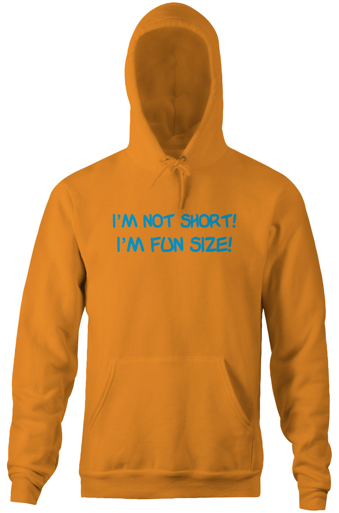 I'm Not Short, I'm Fun Size Hoodie