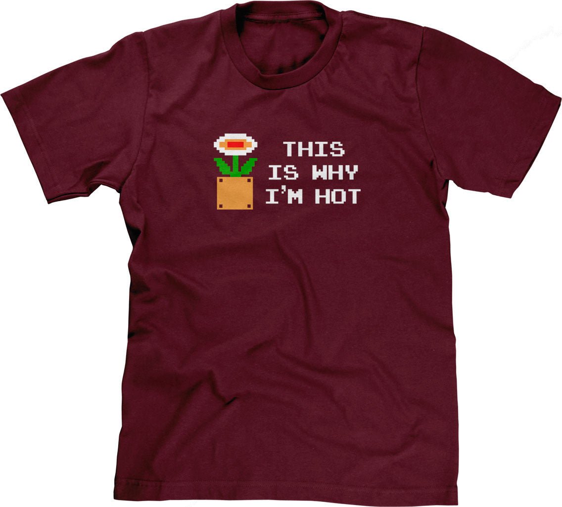 This Is Why I'm Hot T-Shirt (Unisex)
