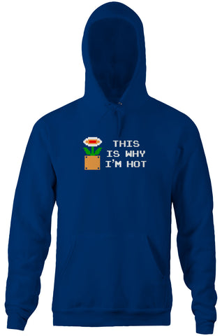 This Is Why I'm Hot Hoodie