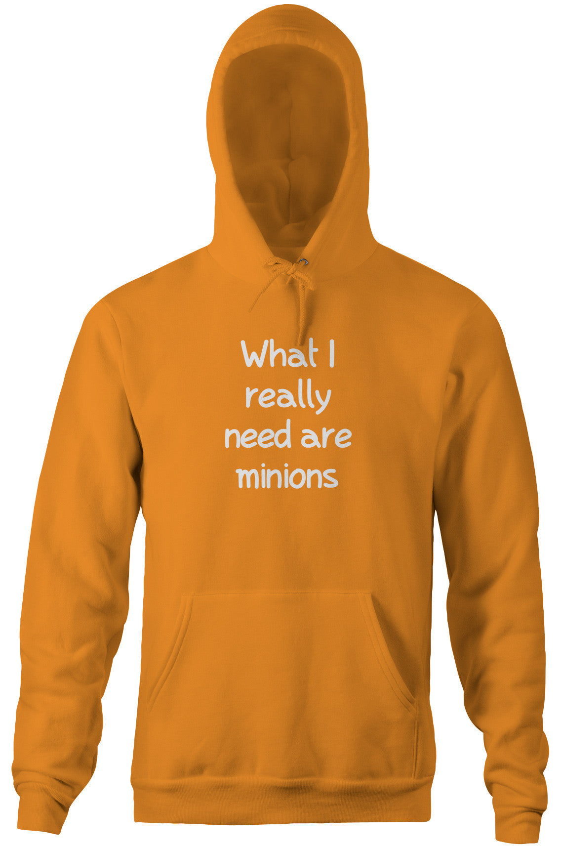 What I Really Need Are Minions Hoodie