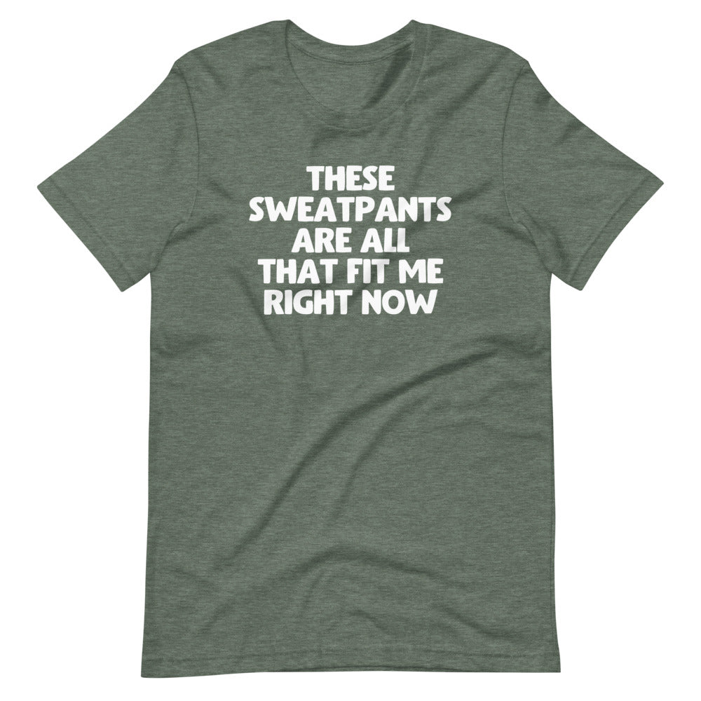 These Sweatpants Are All That Fit Me Right Now T-Shirt (Unisex)