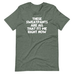 These Sweatpants Are All That Fit Me Right Now T-Shirt (Unisex)