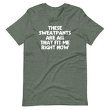 These Sweatpants Are All That Fit Me Right Now T-Shirt (Unisex)