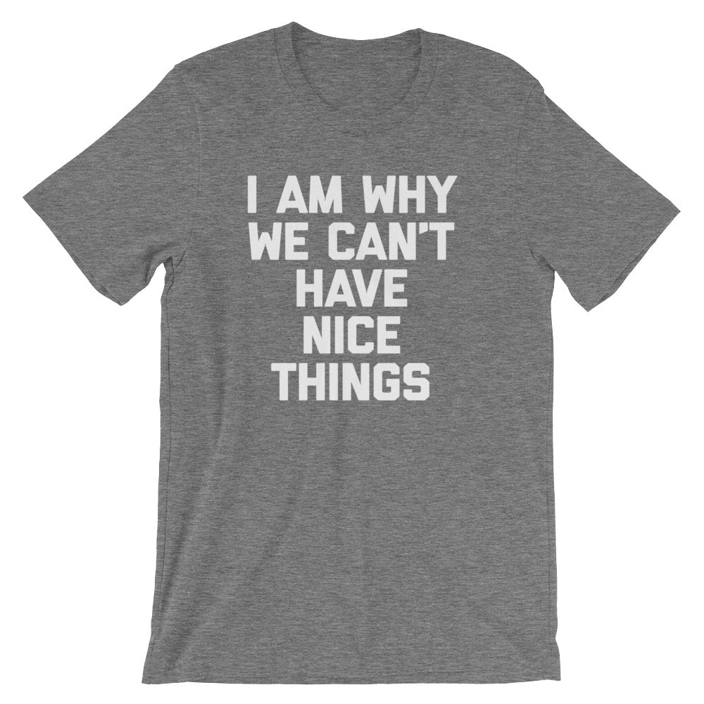 I Am Why We Can't Have Nice Things T-Shirt (Unisex)