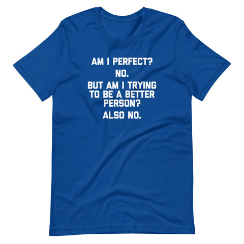 Am I Perfect? No (But Am I Trying To Be A Better Person? Again No) T-Shirt (Unisex)