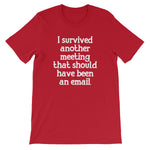 I Survived Another Meeting That Should Have Been An Email T-Shirt (Unisex)