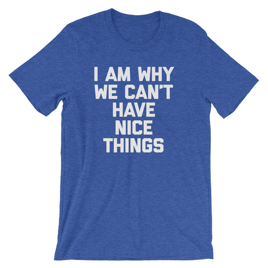 I Am Why We Can't Have Nice Things T-Shirt (Unisex)