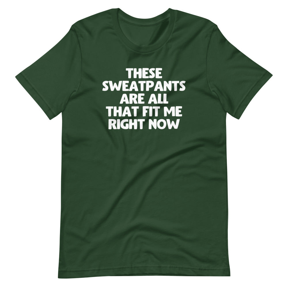 These Sweatpants Are All That Fit Me Right Now T-Shirt (Unisex)