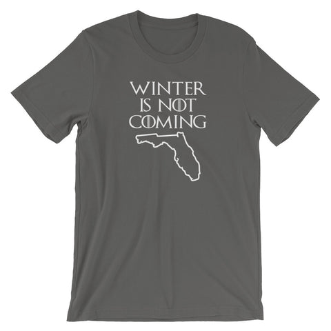 Winter Is Not Coming (Florida) T-Shirt (Unisex)