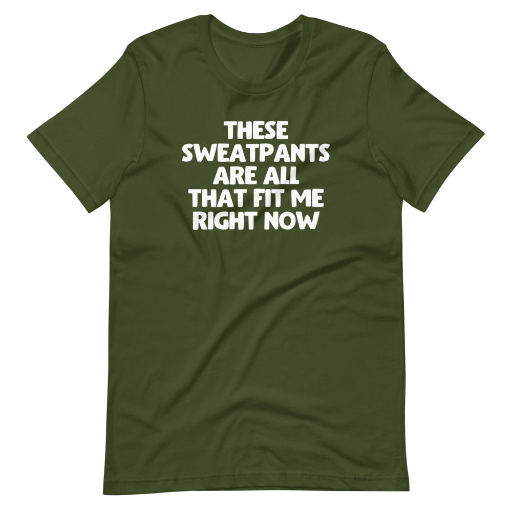 These Sweatpants Are All That Fit Me Right Now T-Shirt (Unisex)