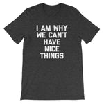 I Am Why We Can't Have Nice Things T-Shirt (Unisex)