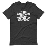 These Sweatpants Are All That Fit Me Right Now T-Shirt (Unisex)