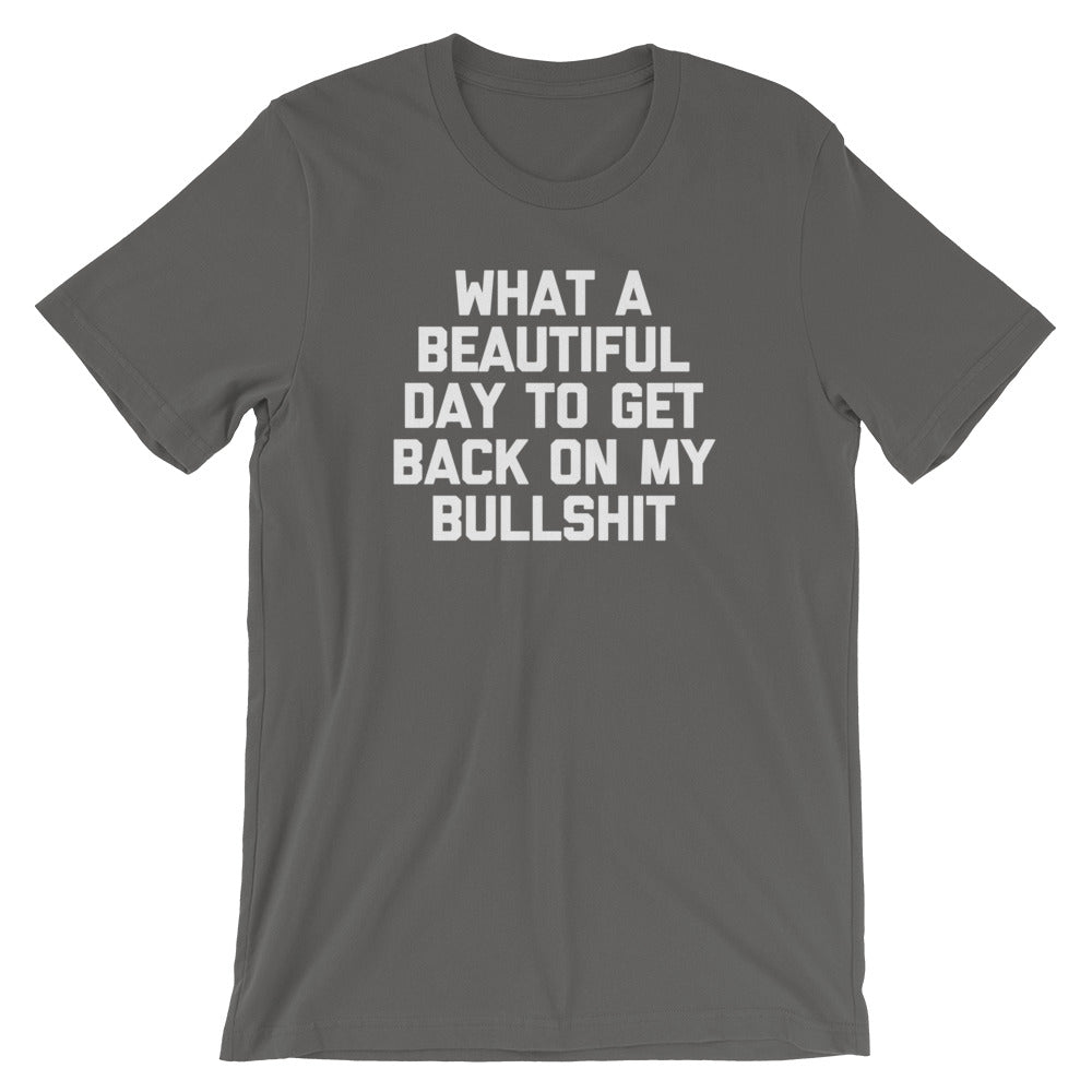 What A Beautiful Day To Get Back On My Bullshit T-Shirt (Unisex)