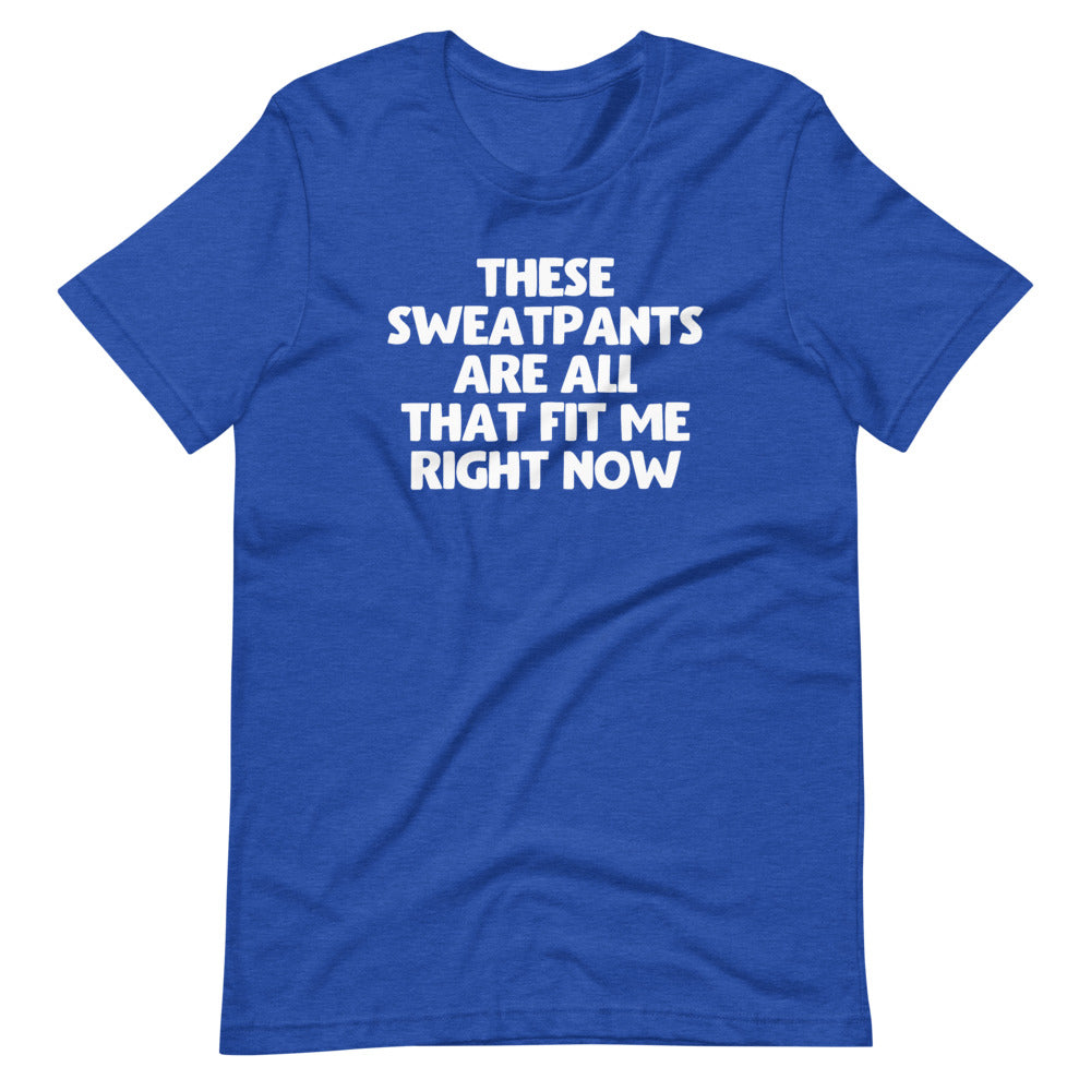 These Sweatpants Are All That Fit Me Right Now T-Shirt (Unisex)