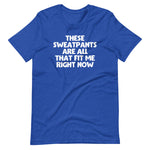 These Sweatpants Are All That Fit Me Right Now T-Shirt (Unisex)