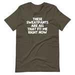 These Sweatpants Are All That Fit Me Right Now T-Shirt (Unisex)