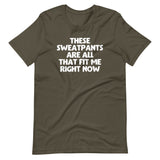 These Sweatpants Are All That Fit Me Right Now T-Shirt (Unisex)