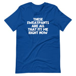 These Sweatpants Are All That Fit Me Right Now T-Shirt (Unisex)