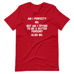 Am I Perfect? No (But Am I Trying To Be A Better Person? Again No) T-Shirt (Unisex)