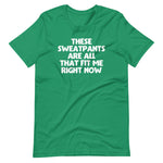 These Sweatpants Are All That Fit Me Right Now T-Shirt (Unisex)
