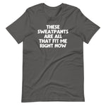 These Sweatpants Are All That Fit Me Right Now T-Shirt (Unisex)