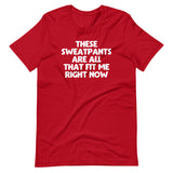 These Sweatpants Are All That Fit Me Right Now T-Shirt (Unisex)