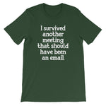 I Survived Another Meeting That Should Have Been An Email T-Shirt (Unisex)