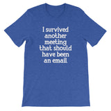 I Survived Another Meeting That Should Have Been An Email T-Shirt (Unisex)