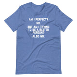 Am I Perfect? No (But Am I Trying To Be A Better Person? Again No) T-Shirt (Unisex)