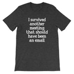 I Survived Another Meeting That Should Have Been An Email T-Shirt (Unisex)