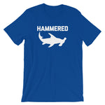 Hammered T-Shirt (Unisex)