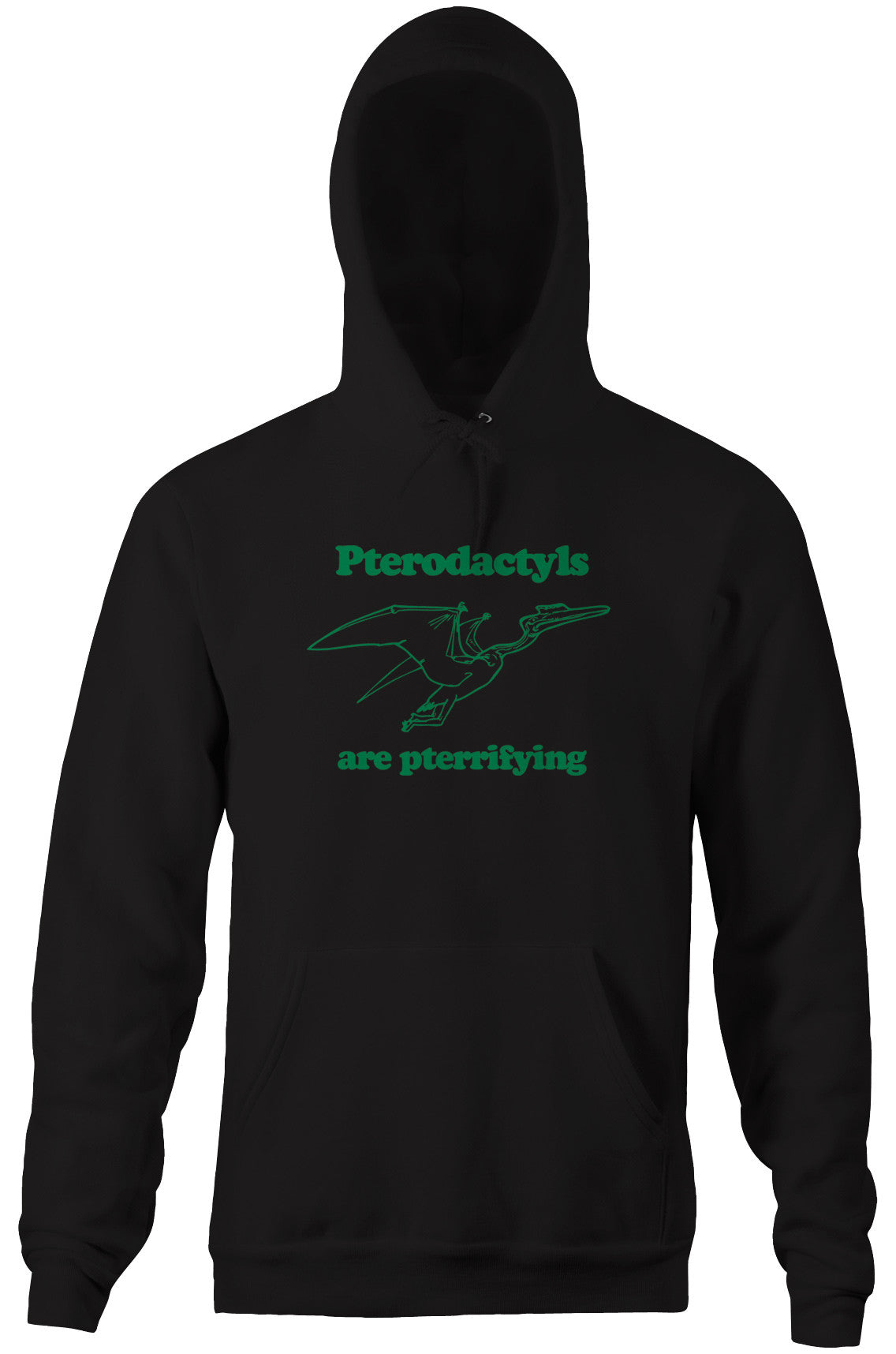 Pterodactyls Are Pterrifying Hoodie