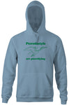 Pterodactyls Are Pterrifying Hoodie