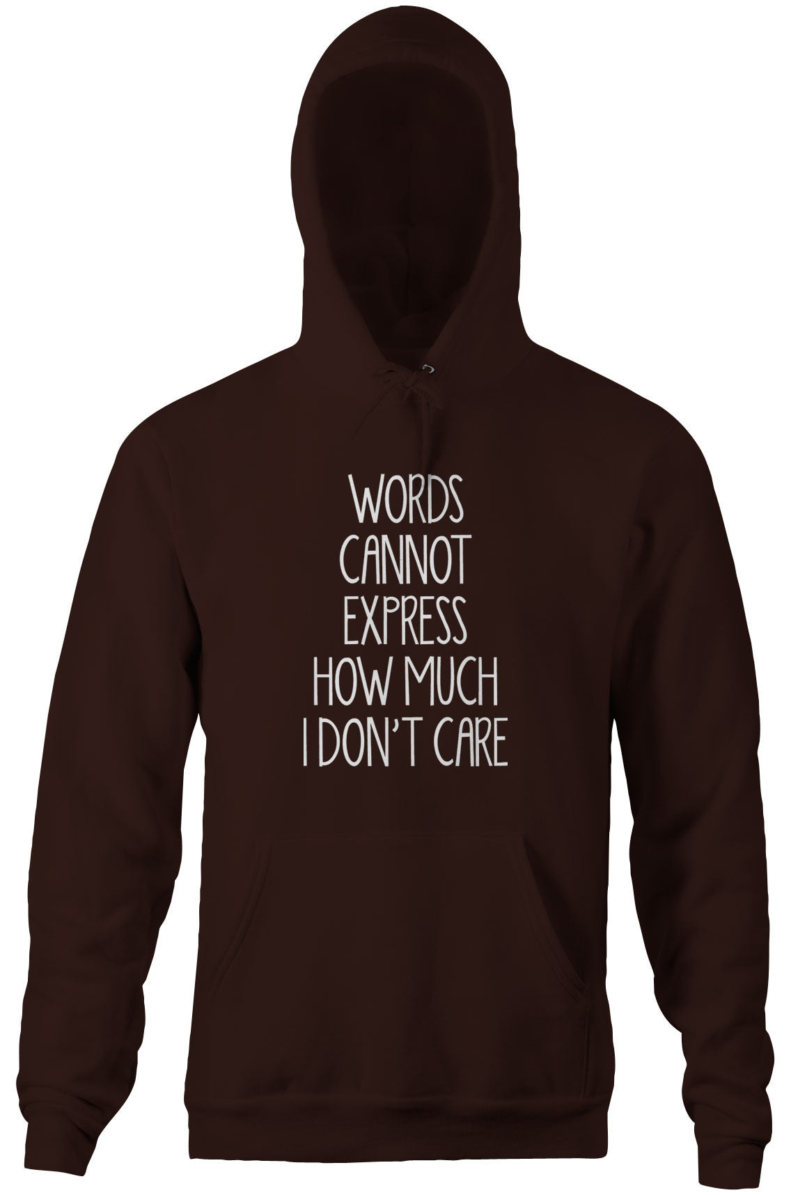 Words Cannot Express How Much I Don't Care Hoodie